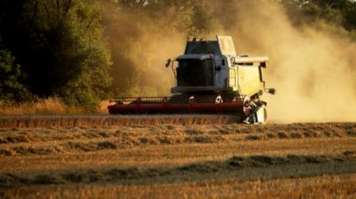 Фермерам начнут выплачивать т.н. украинскую помощь