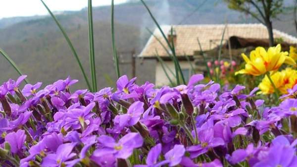 Здоровый отдых в горах Родопы – Нареченски-Бани
