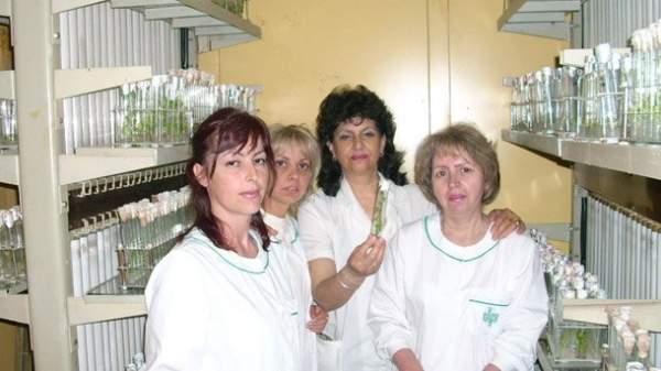 Крупнейший генетический банк на Балканах находится в южно-болгарском городке Садово