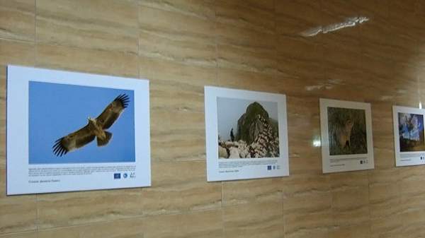 Фотовыставка в Софийском метро рассказывает о судьбе королевского орла
