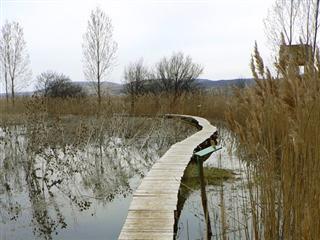 Уникальный карстовый комплекс „Драгоманское болото” включен в список Рамсарской конвенции