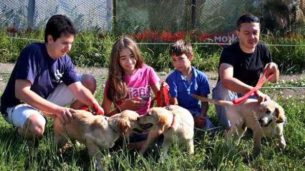 Собак-поводырей в Болгарии очень мало