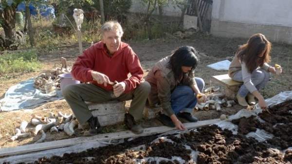 Болгарские эфирно-масличные культуры – от органического к биодинамическому земледелию