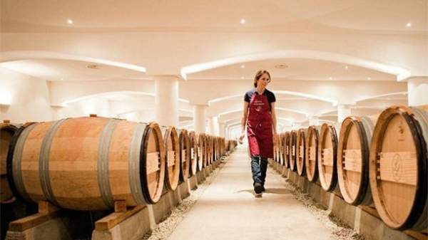 София станет столицей балканского вина