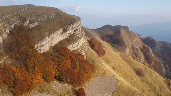 Почти половину флоры Болгарии, находящейся под охраной, можно увидеть в природном парке „Врачанский Балкан”