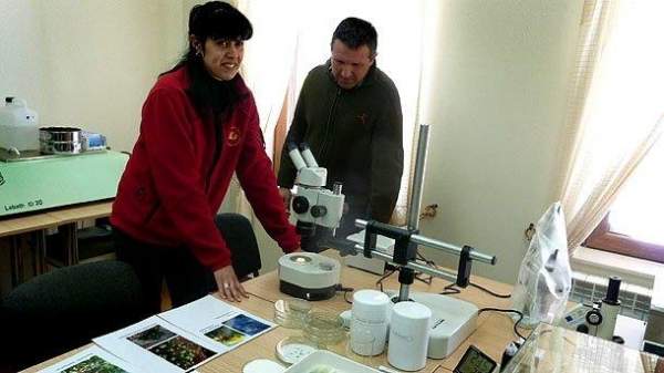 В горах Стара-Планина работает лаборатория консервации семен редких растений
