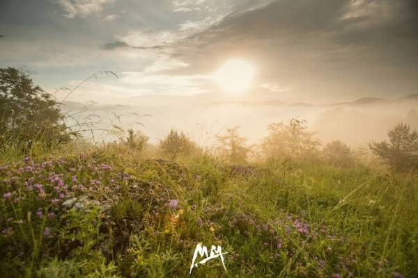 Фестиваль «Meadows of the Mountains»: В поиске совершенной атмосферы