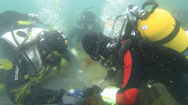 Подводной археологии в Болгарии исполнилось 60 лет