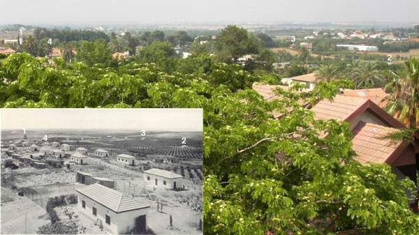О прошлом и настоящем «болгарского» села в Израиле