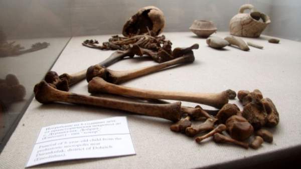 Черепа протоболгар, удлиненные как у фараонов, хранятся в Музее истории медицины в Варне