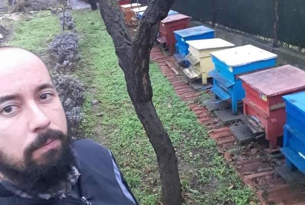 Проблемы трансформируют пчеловодство из профессии с традициями в хобби