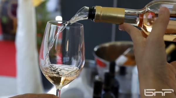 Виноделов радует благодатный год с богатым урожаем и полными бочками вина