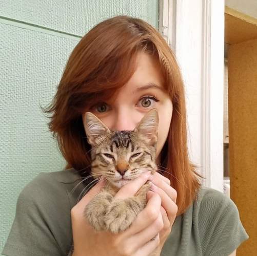 Анастасия из Латвии дарит новую жизнь брошенным кошкам в своем котокафе
