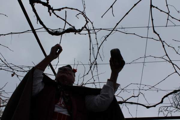 Вырастить виноградник, приготовить вино… традиция жива во многих районах Болгарии