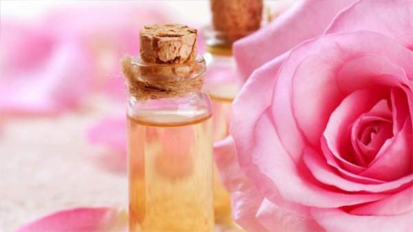 Болгарское розовое масло – высокие цены на мировом рынке, но недостаточная оплата тяжелого труда садоводов