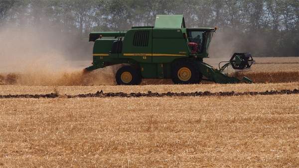 Импорт зерна из Украины вызывает тревогу у болгарских фермеров