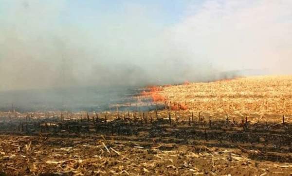 Сильная жара беспокоит граждан и пожарных в Болгарии