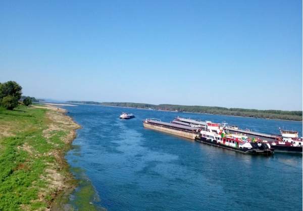 Обмеление Дуная – угроза для его экосистем