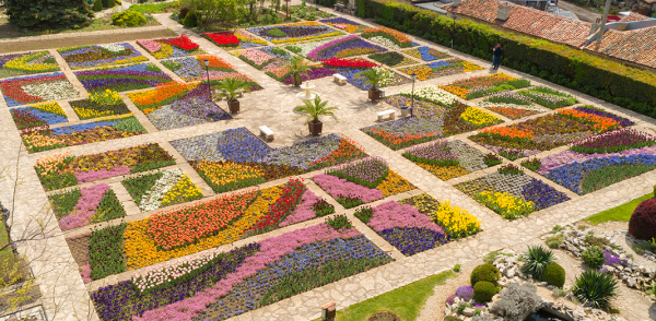 Ботанический сад в Балчике встречает посетителей Парадом тюльпанов