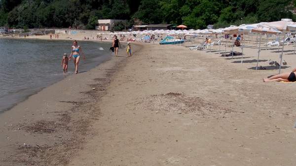 Нет данных о загрязнении болгарского побережья Черного моря из-за подрыва Каховской ГЭС
