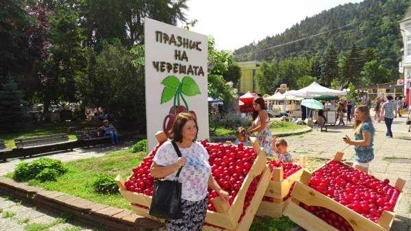 И снова Праздник черешни в Кюстендиле!