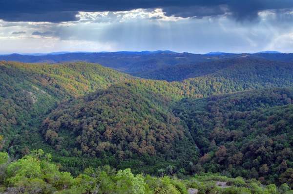 Над ущельями, полями и реками – где находятся самые красивые панорамные площадки в Болгарии?