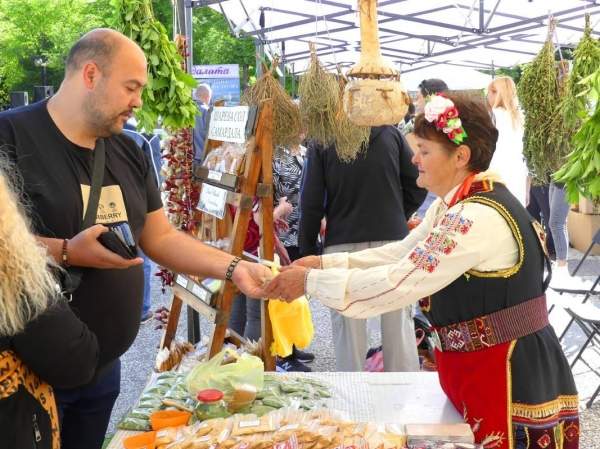 Болгарский лук самардала – царица весны в Нова-Загоре
