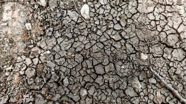 Изменение климата или другие факторы стали причинами очередного года нехватки воды в нашей стране