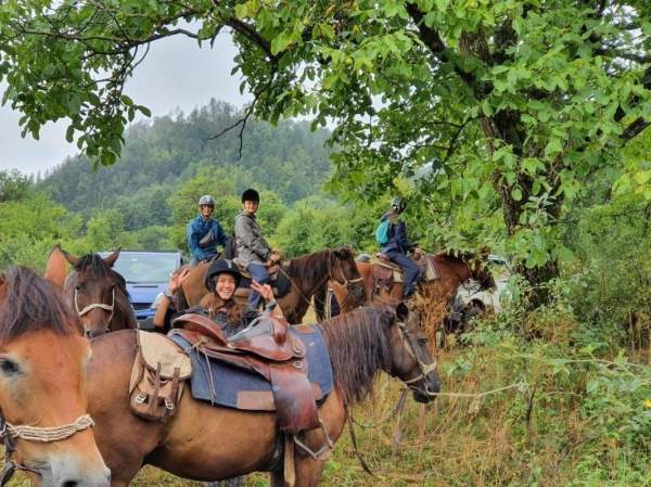 От Родоп до гор Стара-Планина – конный туризм – скрытое сокровище Болгарии