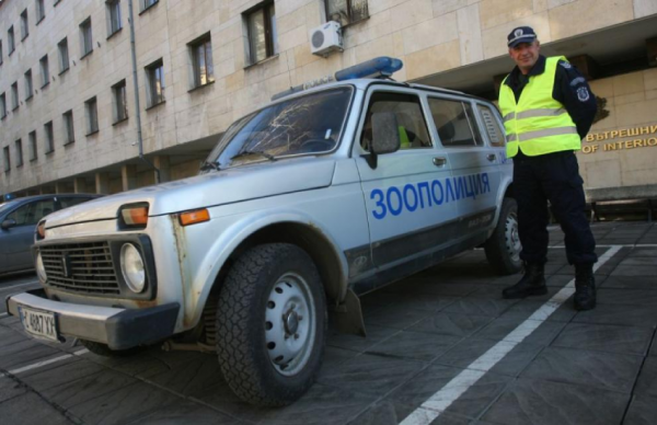 Очередной случай жестокого обращения с животными мобилизовал гражданскую энергию