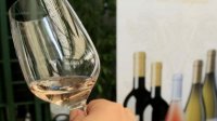 В Софии стартует Балканский фестиваль вина