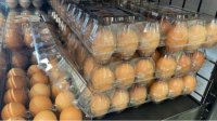 Годны ли яйца из Украины к употреблению, станет ясно сегодня