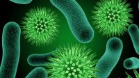 Установлены 330 новых случаев заражения коронавирусом