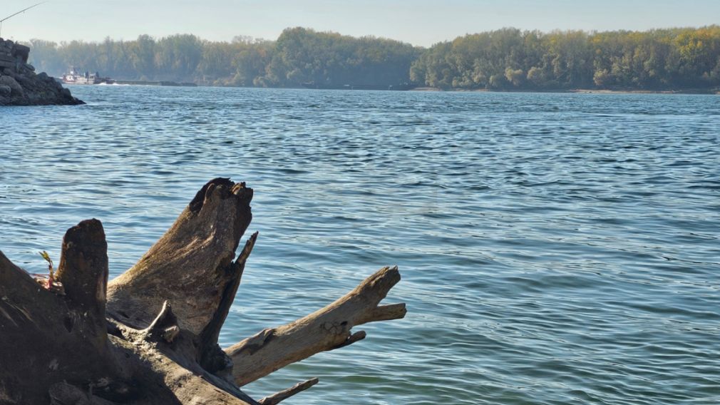 Семь государств обсудят экологические проблемы реки Дунай