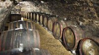 Новый закон налаживает порядок в секторе виноделия