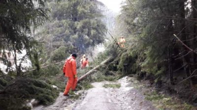 Снегопад оставил без электричества населенные пункты в Смоленской и Велико-Тырновской области