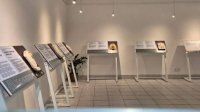 Находки Гераклеи Синтики вызвали серьезный интерес в Европе