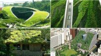 Начальный интерес к „зеленой” архитектуре