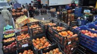 Болгария продолжает импортировать значительные количества фруктов и овощей