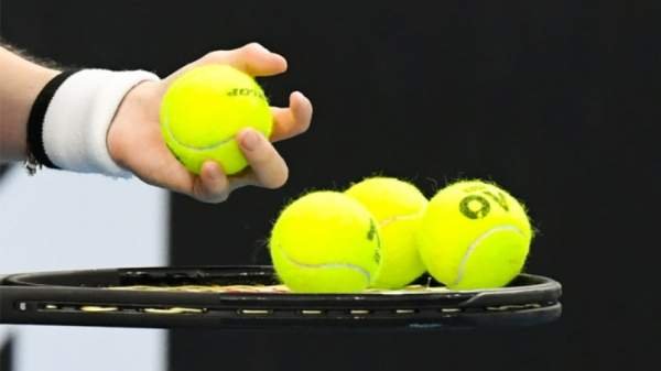 Топалова и Нестеров будут играть в финалах турниров по теннису в Швеции и Румынии