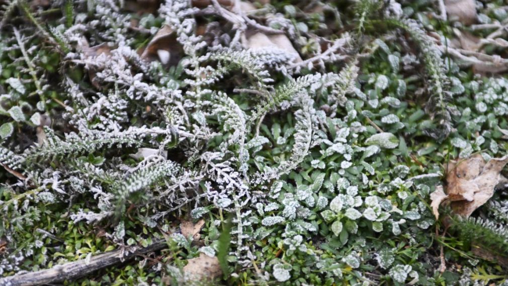 Прогноз погоды на 22 января 2026