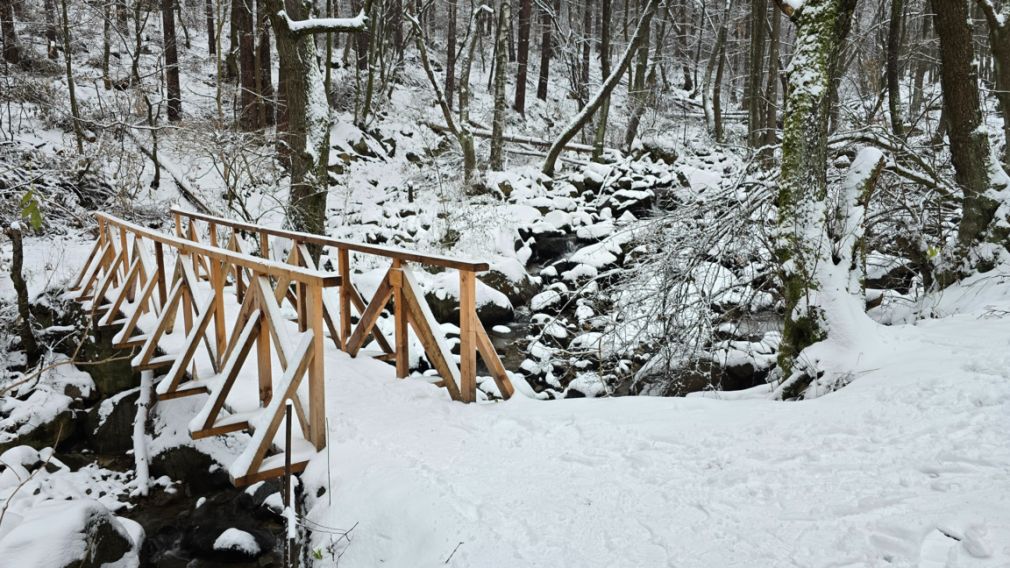 Прогноз погоды на 4 февраля 2026