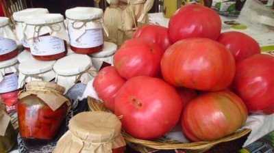 В Софии отмечают День биопомидора