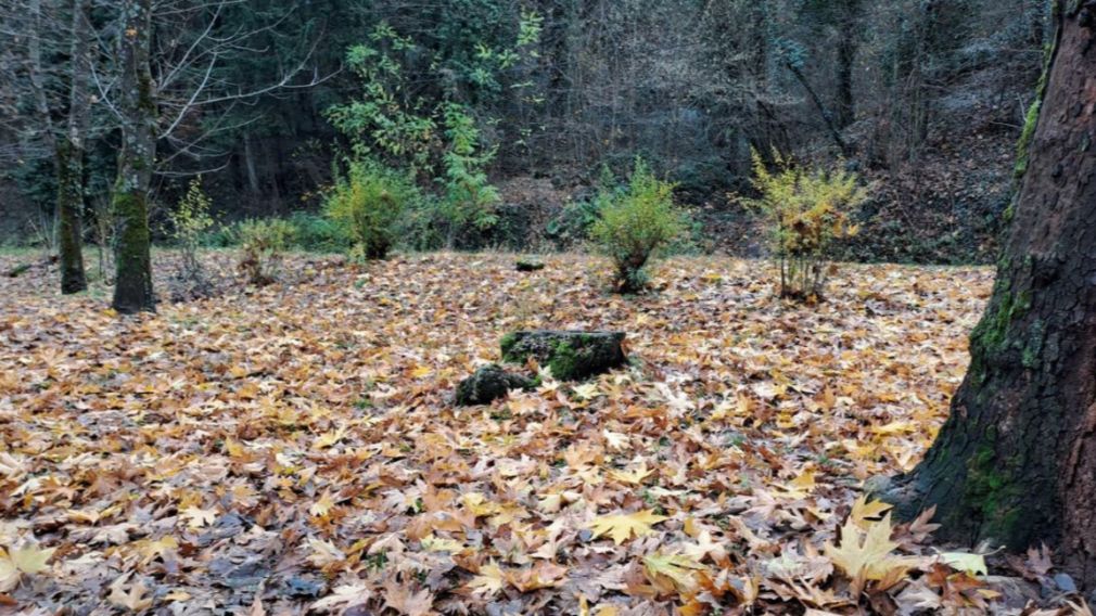 Прогноз погоды на 2 декабря