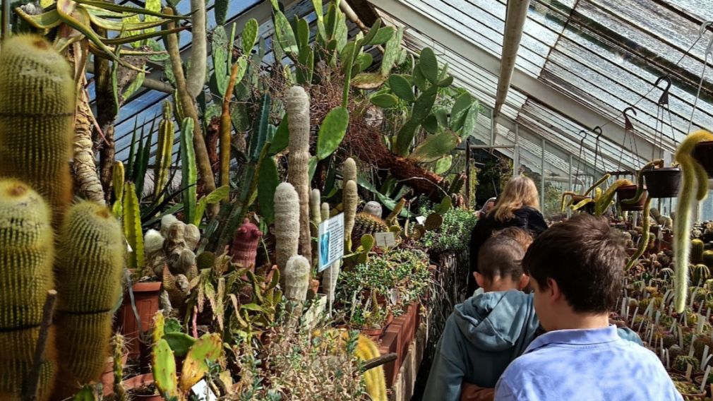 Ботанический сад БАН открывает &laquo;Весенние встречи с растениями&raquo;