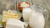 Болгария хочет защитить наименования продуктов кислое молоко и брынза