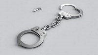 Арестованы 7 полицейских и высший начальник в сфере МВД в Пловдиве