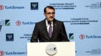 Болгарию посетит министр энергетики и природных ресурсов Турции