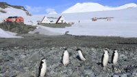 Болгарская антарктическая экспедиция уже в полном составе