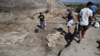 6500 лет назад жители Солеварни у Провадии производили пиво